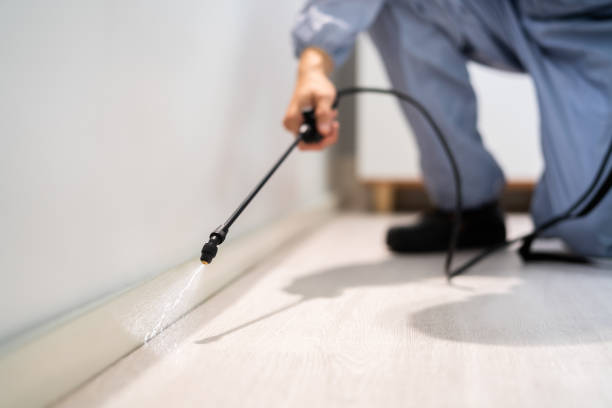 Bed Bug Pre-Treatment Preparation Assessment in Mission