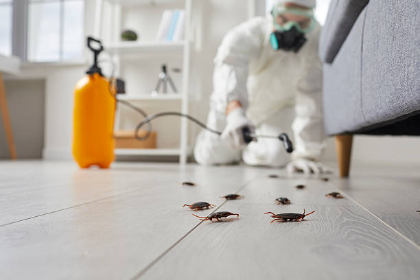 Post-Treatment Bed Bug Interceptor Monitoring in Mission