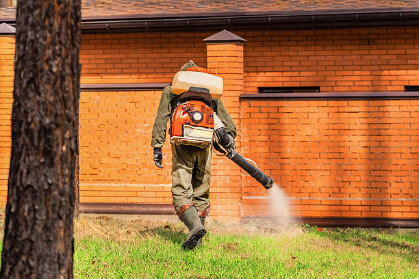 Bed Bug Clearance Verification and Documentation in Mission